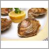ostra
