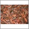 camarones