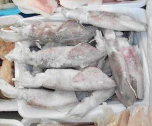 Las propiedades del pescado congelado